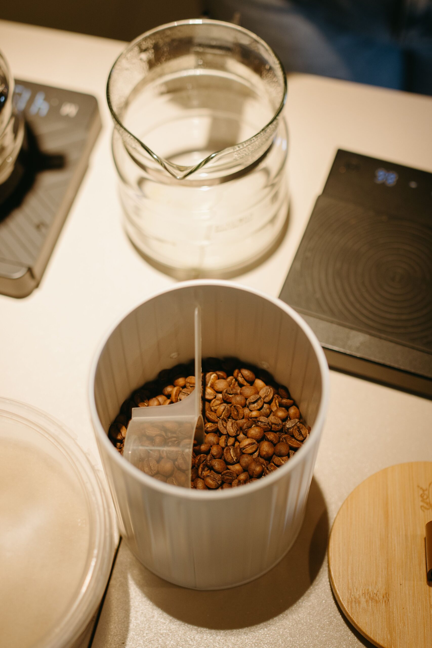 Coffee beans stored in a container on a kitchen counter