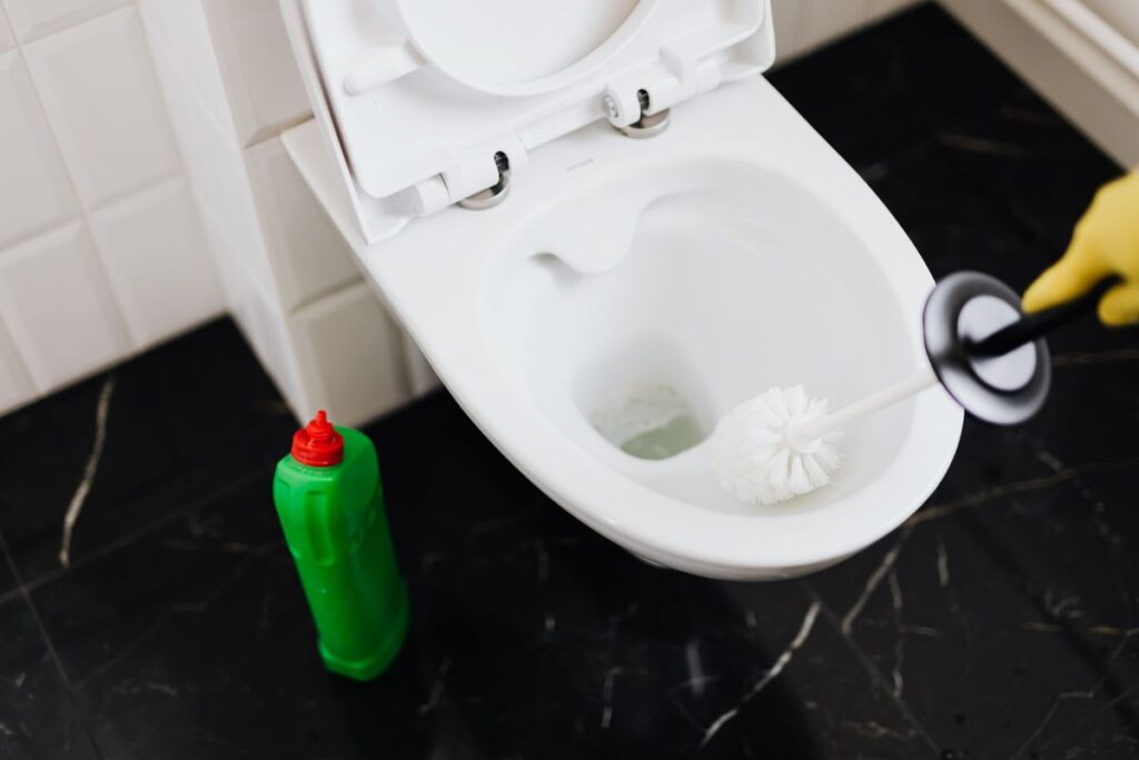 Person cleaning a toilet with a brush