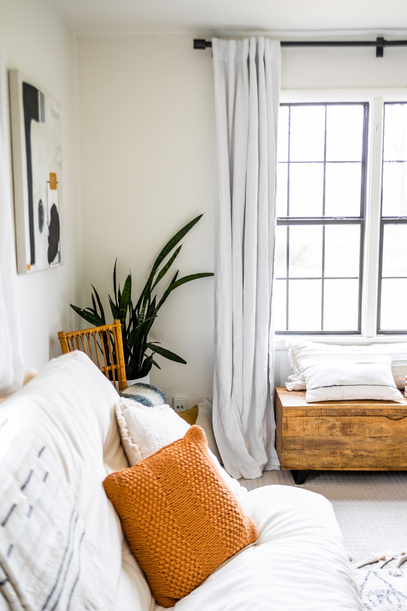 Living room with a sofa, plant and daylight from a window
