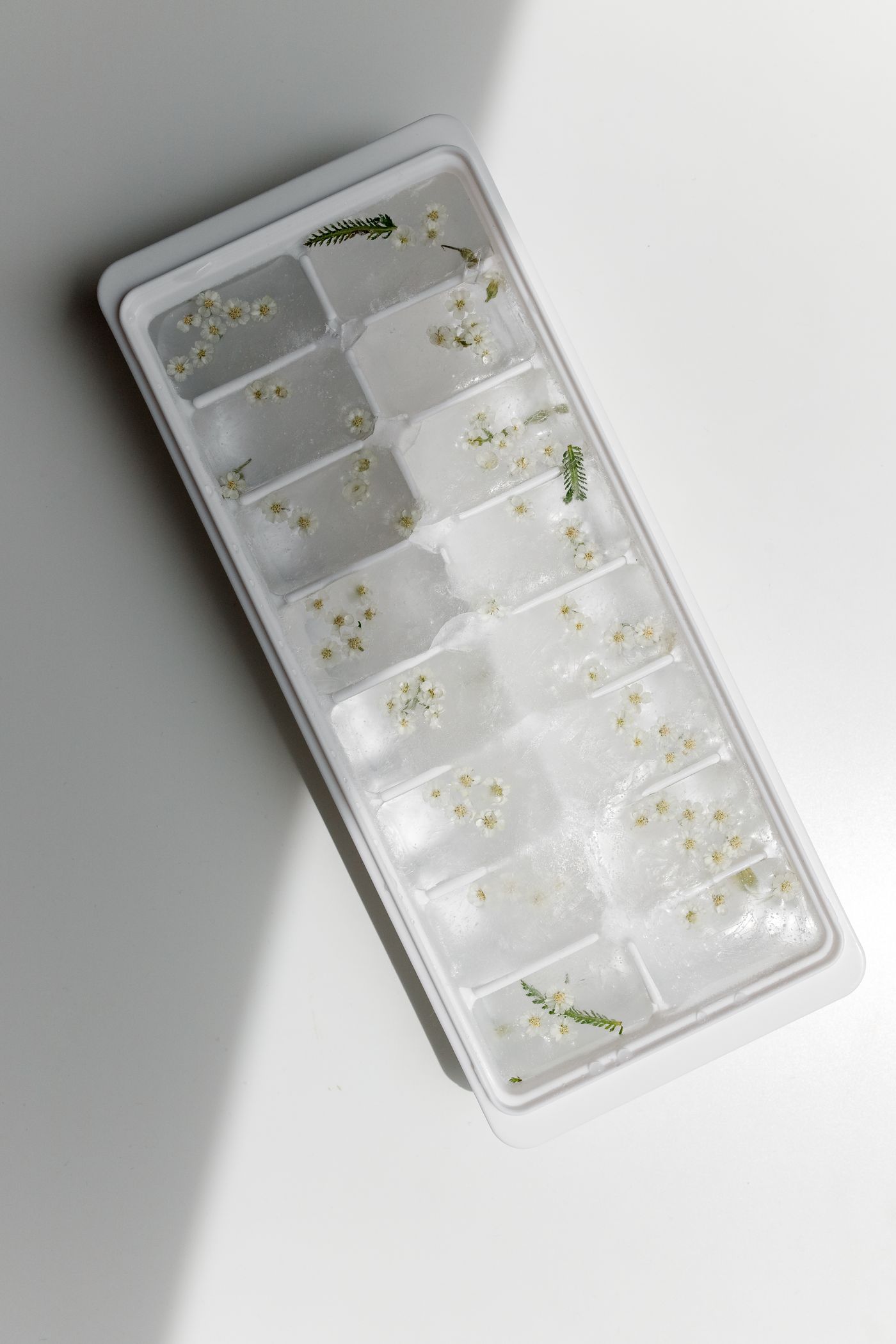 Ice molds with cubes containing small flowers