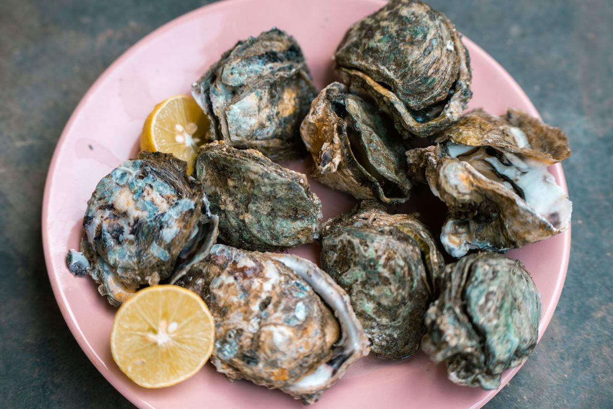 Oysters served with lemon slices on a pink plate